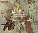 Brahms Johannes