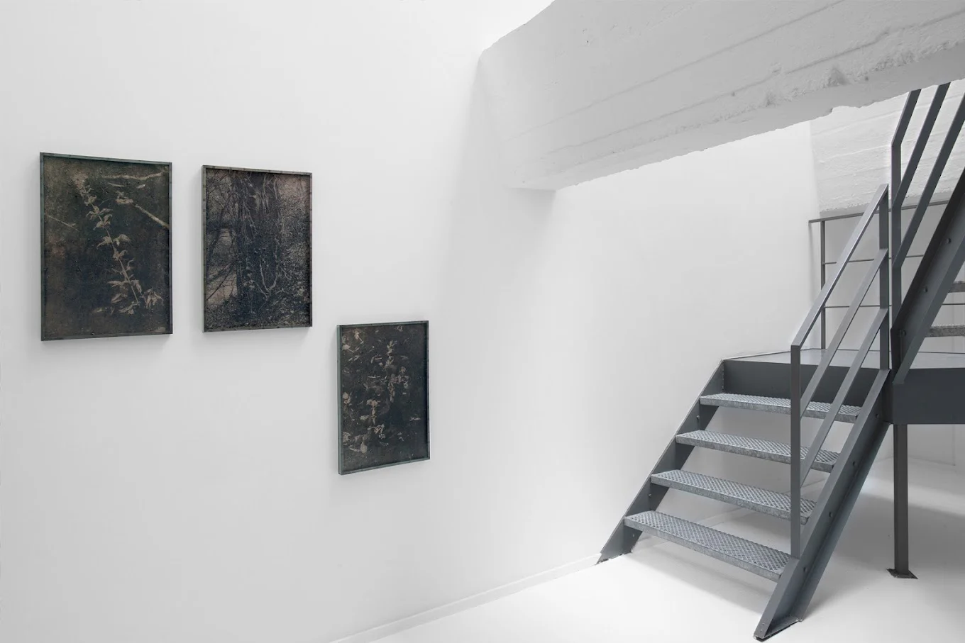 Lee-Bauwens Gallery