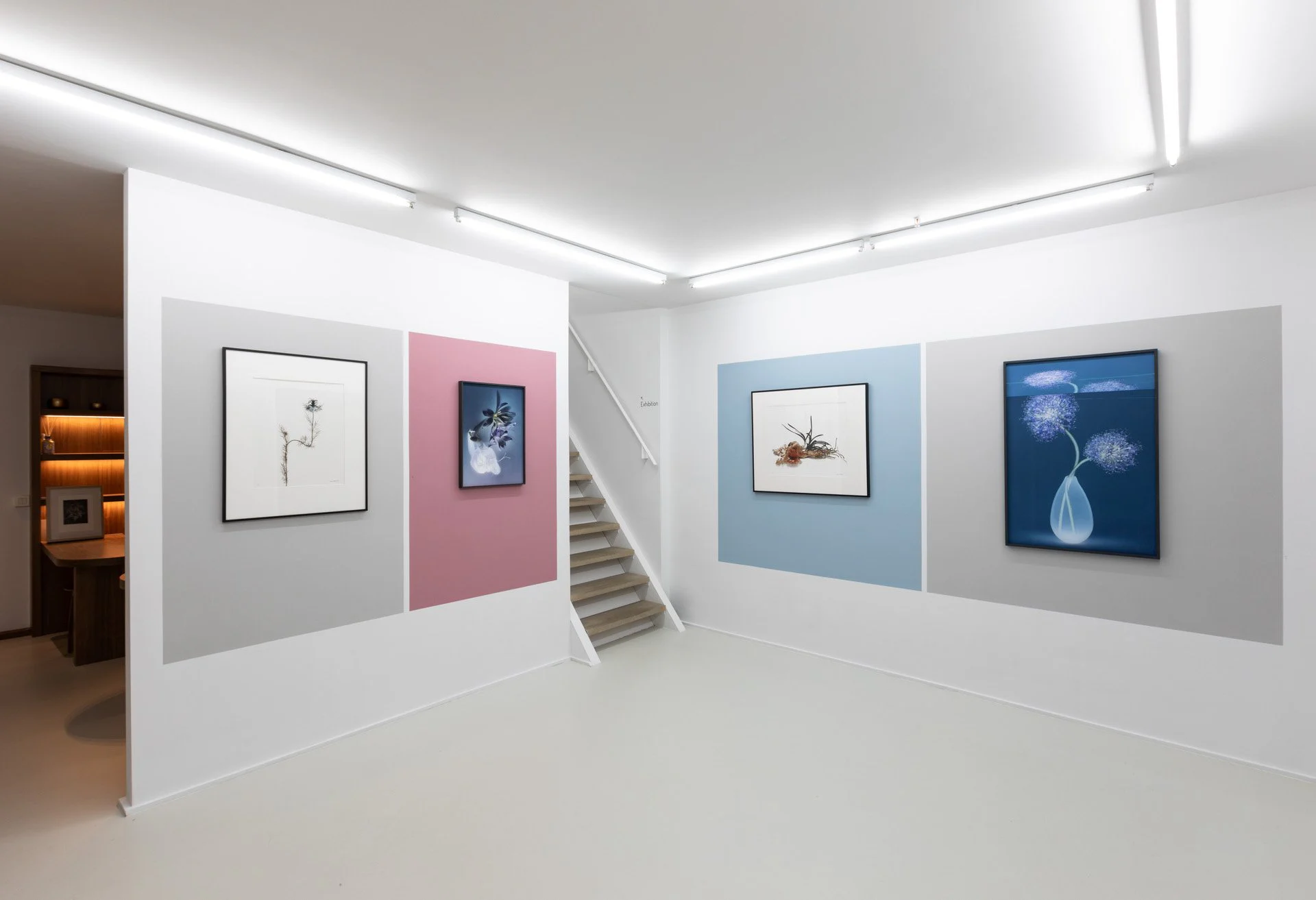 Michèle Schoonjans Gallery